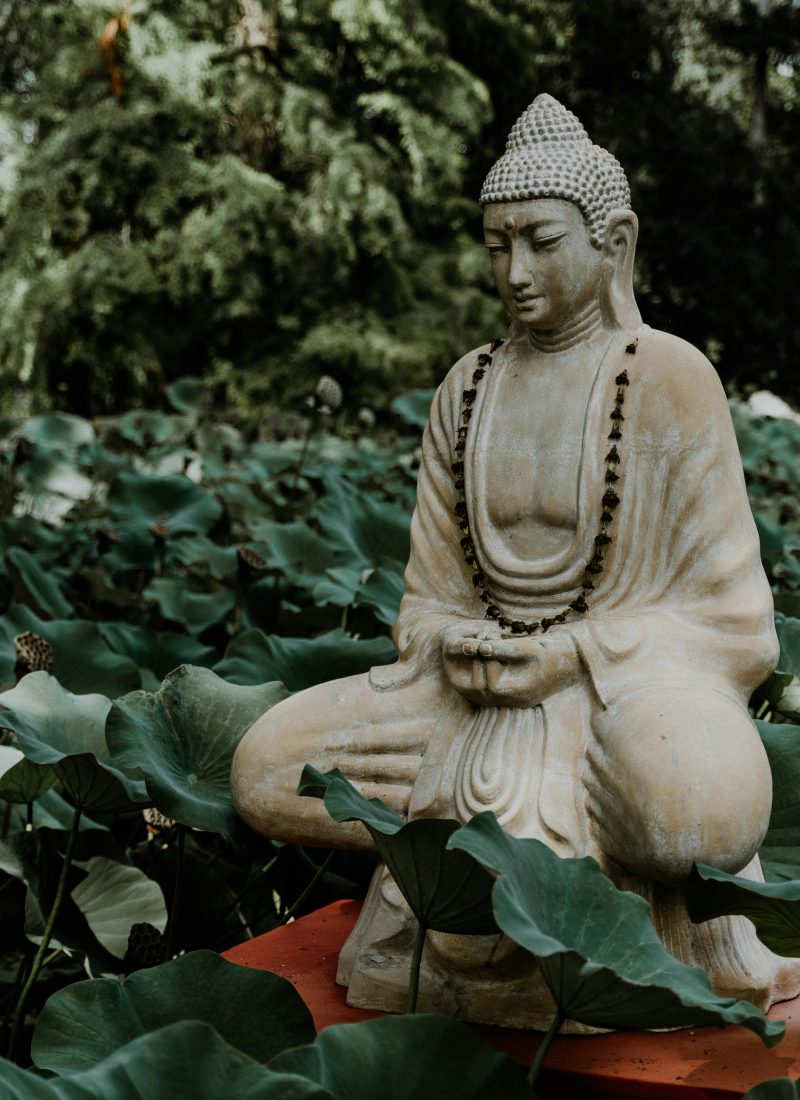 Khóa thiền Vipassana và 5 chữ "biết"